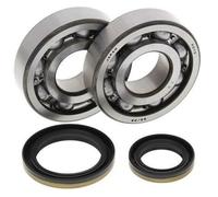 Kit Cuscinetti E Guarnizioni Di Albero Motore ALL BALLS 24-1021 per Moto Ricambi