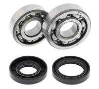 Kit Cuscinetti E Guarnizioni Di Albero Motore ALL BALLS 24-1023 per Moto Ricambi