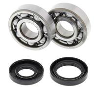 Kit Cuscinetti E Guarnizioni Di Albero Motore ALL BALLS 24-1025 per Moto