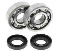 Kit Cuscinetti E Guarnizioni Di Albero Motore ALL BALLS 24-1062 per Moto Ricambi