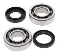 Kit Cuscinetti E Guarnizioni Di Albero Motore ALL BALLS 24-1064 per Moto Ricambi