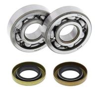 Kit Cuscinetti E Guarnizioni Di Albero Motore ALL BALLS 24-1102 per Moto Ricambi