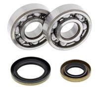 Kit Cuscinetti E Guarnizioni Di Albero Motore ALL BALLS 24-1110 per Moto
