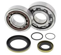 Kit Cuscinetti E Guarnizioni Di Albero Motore ALL BALLS 24-1115 per Moto