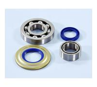 KIT CUSCINETTI PARAOLI POLINI ALBERO MOTORE PIAGGIO VESPA 125 2T COSA