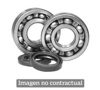 Kit Cuscinetti E Guarnizioni Di Coperchio All Balls 24-1015 Per Moto Ricambi