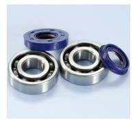 KIT CUSCINETTI PARAOLI BANCO ALBERO MOTORE POLINI MALAGUTI F 15 FIREFOX H2O