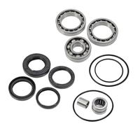 Kit cuscinetti e guarnizioni differenziale posteriore compatibile con 300 TRX300 2x4 TRX300FW 300FW 4x4 1988-2000