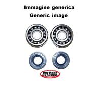 KIT CUSCINETTI E PARAOLI DI BANCO Honda CR 250R 1992-2007 K003 HOT RODS