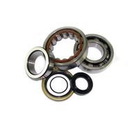 KIT CUSCINETTI E PARAOLI PER ALBERO MOTORE SUZUKI RM RA 85 2002
