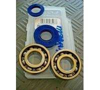 KIT CUSCINETTI E PARAOLI POLINI SCOOTER MOTORI MINARELLI / YAMAHA 50 TUTTI 2T