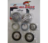 Kit cuscinetti e paraoli sterzo All Balls 22-1011
