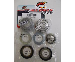 Kit cuscinetti e paraoli sterzo All Balls 22-1011