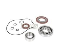 Kit cuscinetti e paraolio per albero motore -BGM ORIGINAL- Vespa PX - gomma - co