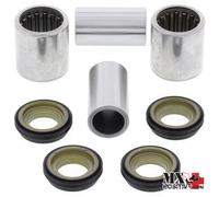 KIT CUSCINETTI FORCELLONE KAWASAKI KLX 250R 1995-1996 ALL BALLS 28-1080