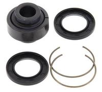 Kit Cuscinetti Inferiori Di Ammortizzatore ALL BALLS 29-5029 Per Moto
