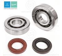 KIT CUSCINETTI NTN E PARAOLI ALBERO MOTORE GILERA STORM EURO2 50 2007-2007