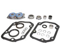kit cuscinetti oer cambio volkswagen golf audi a3 seat leon ina
