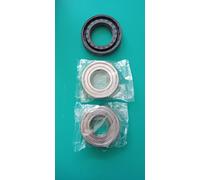 Kit cuscinetti + paraacqua lavatrice Hoover HNF6167P