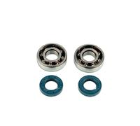 Kit cuscinetti+paraoli albero motore C4 per Gilera RCR 50 2003-2005