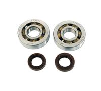 Kit cuscinetti+paraoli albero motore C4 per Gilera Storm 50 1994-1995