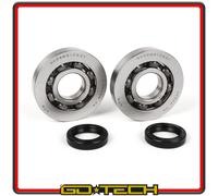 KIT CUSCINETTI PARAOLI BANCO RUNNER FX FXR HEXAGON TYPHOON SR PIAGGIO 125 180 2T