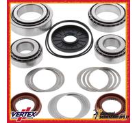 Kit Cuscinetti Paraoli Differenziale Posteriore Polaris Rzr 800 Built 12/31/09 A