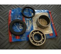 KIT CUSCINETTI & PARAOLIO X MOZZO RUOTA POSTERIORE PIAGGIO APE MP 500-600-501-60