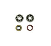 Kit Cuscinetti/Revisione Albero motore +paraoli per BETA ART ENDURO 50 2003-2005