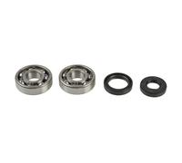 KIT CUSCINETTI PARAOLI ALBERO MOTORE KOYO KAWASAKI KX 125 1988-2008 P40025044400