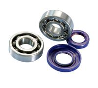 Kit Cuscinetti Revisione Albero Motore Polini Ape Vespa 50/125 HP PK Cono 20mm