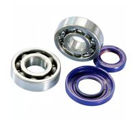 Kit Cuscinetti Revisione Albero Motore Polini Ape Vespa 50/125 HP PK Cono 20mm