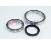 KIT CUSCINETTI RIDUTTORE FRIZIONE DIFFERENZIALE ASSE POST. TOYOTA RAV 4 KITST215