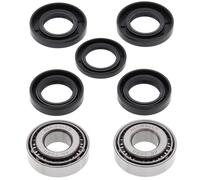 Kit cuscinetti ruota ALL BALLS 25-1523 per BMW R 80 GS, Aprilia Habana