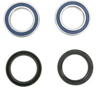Kit cuscinetti ruota All Balls Ktm Husqvarna Beta Husaberg 25-1402-a