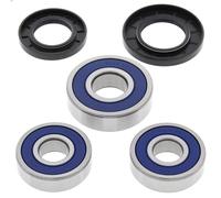 Kit cuscinetti ruota All Balls, posteriore