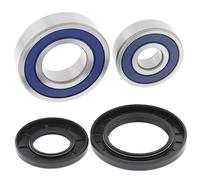 Kit cuscinetti ruota All Balls, posteriore