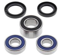 Kit cuscinetti ruota All Balls, posteriore