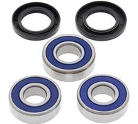 Kit cuscinetti ruota All Balls, posteriore