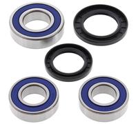 Kit cuscinetti ruota All Balls, posteriore