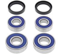 Kit cuscinetti ruota All Balls, posteriore