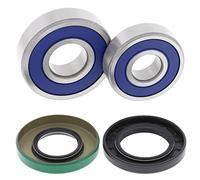 Kit cuscinetti ruota All Balls, posteriore