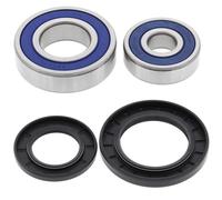 Kit cuscinetti ruota All Balls, posteriore