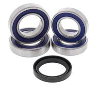 Kit cuscinetti ruota All Balls, posteriore