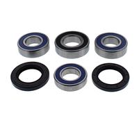 Kit cuscinetti ruota All Balls, posteriore