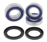 Kit cuscinetti ruota All Balls, posteriore