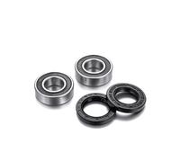 Kit cuscinetti ruota anteriore Factory Links per BMW R1200 GS - Dalbellomoto