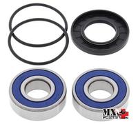 KIT CUSCINETTI RUOTA ANTERIORE POLARIS 350L 2X4 1993 ALL BALLS 25-1129