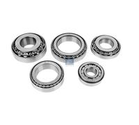 Kit Cuscinetti Ruota DT PEZZI DI RICAMBIO IAM-Expertise Compatibile Con SCANIA