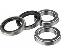 Kit cuscinetti ruota FACTORY LINKS FWK-T-023